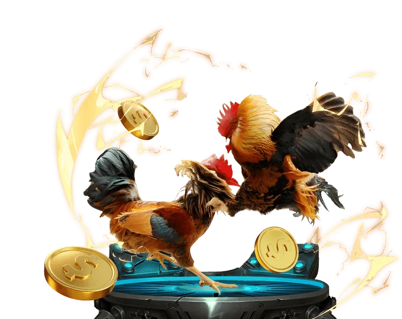 Chiến lược đá gà 88go đăng nhập